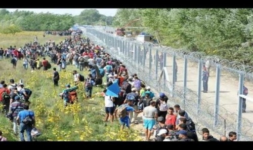 frontière,hongrie,migrants